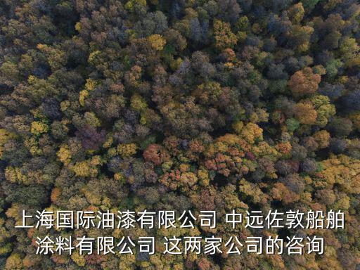 上海國際油漆有限公司 中遠佐敦船舶涂料有限公司 這兩家公司的咨詢