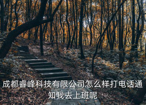 成都睿峰科技有限公司怎么樣打電話通知我去上班呢