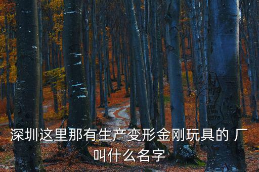 深圳這里那有生產變形金剛玩具的 廠叫什么名字