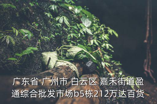 廣東省 廣州市 白云區(qū) 嘉禾街道盈通綜合批發(fā)市場b5棟212萬達百貨