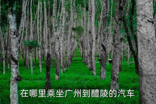 在哪里乘坐廣州到醴陵的汽車