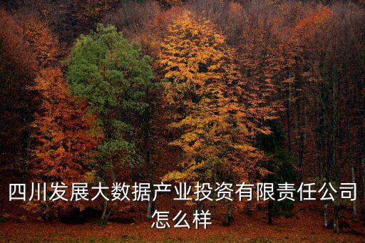 四川發(fā)展大數(shù)據(jù)產(chǎn)業(yè)投資有限責任公司怎么樣