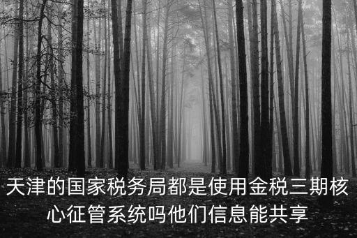 天津的國家稅務(wù)局都是使用金稅三期核心征管系統(tǒng)嗎他們信息能共享