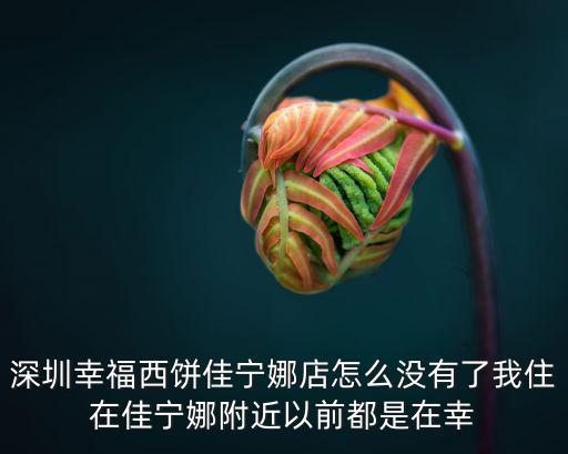 深圳幸福西餅蛋糕團購，深圳哪里可以買到好吃而且比團購還實惠的蛋糕