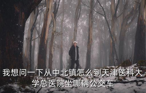 我想問一下從中北鎮(zhèn)怎么到天津醫(yī)科大學(xué)總醫(yī)院坐哪輛公交車