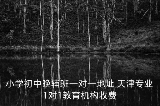 小學(xué)初中晚輔班一對(duì)一地址 天津?qū)I(yè)1對(duì)1教育機(jī)構(gòu)收費(fèi)