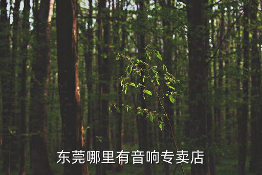 東莞哪里有音響專賣店