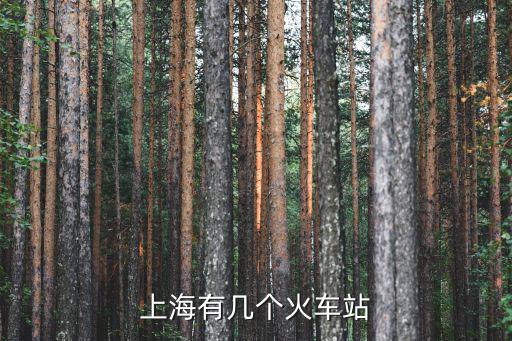 上海市如真火車站，上海有幾個火車站