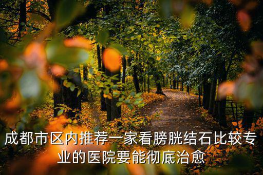 成都市區內推薦一家看膀胱結石比較專業的醫院要能徹底治愈