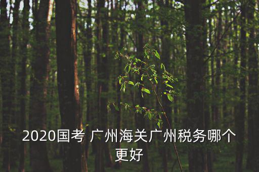 2020國(guó)考 廣州海關(guān)廣州稅務(wù)哪個(gè)更好
