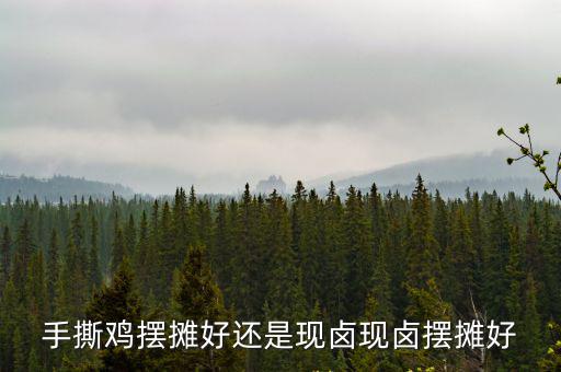 手撕雞擺攤好還是現鹵現鹵擺攤好