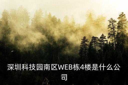 深圳科技園南區(qū)WEB棟4樓是什么公司