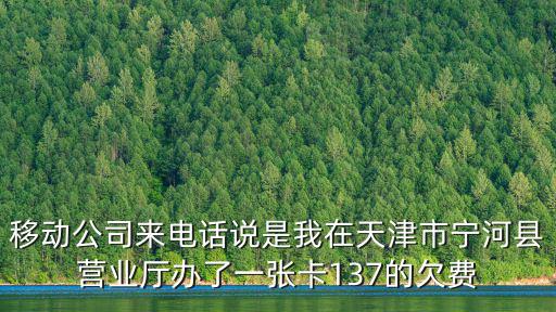 天津市寧河區嗩吶獨奏放驢，天津市寧河縣豐臺鎮小李鄉的銀行幾點營業