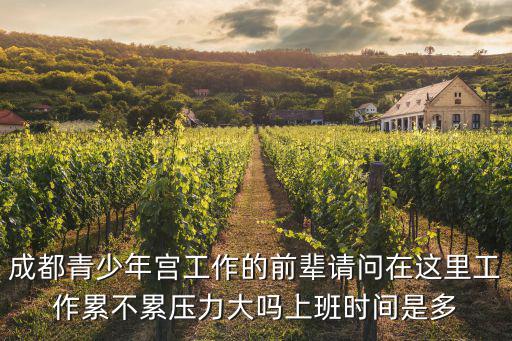成都青少年宮工作的前輩請問在這里工作累不累壓力大嗎上班時間是多