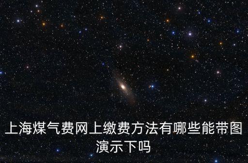 上海煤氣費(fèi)網(wǎng)上繳費(fèi)方法有哪些能帶圖演示下嗎
