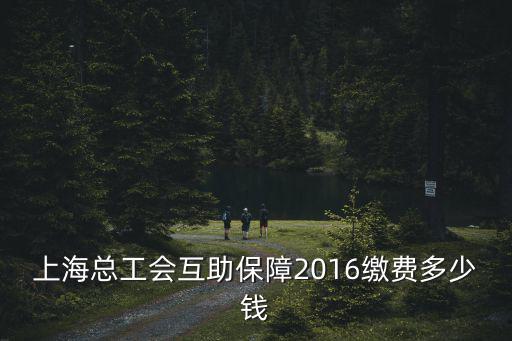 上海總工會互助保障2016繳費多少錢