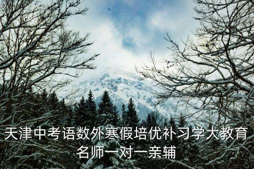 天津中考語數(shù)外寒假培優(yōu)補習學大教育名師一對一親輔