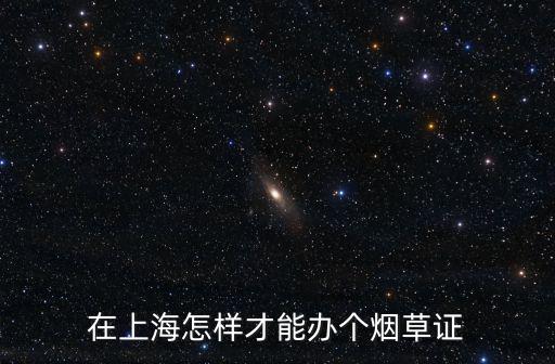 在上海怎樣才能辦個煙草證