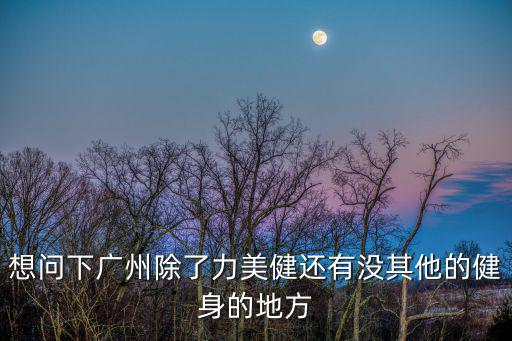 想問下廣州除了力美健還有沒其他的健身的地方
