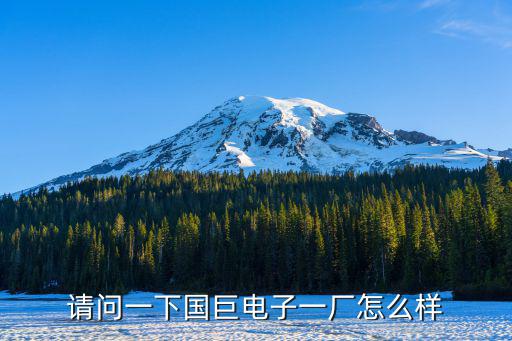 請問一下國巨電子一廠怎么樣