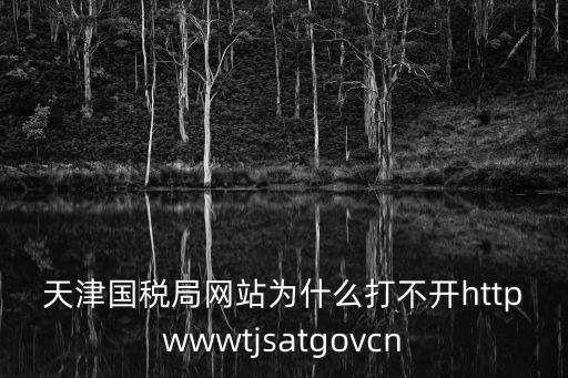 天津國稅局網(wǎng)站為什么打不開httpwwwtjsatgovcn