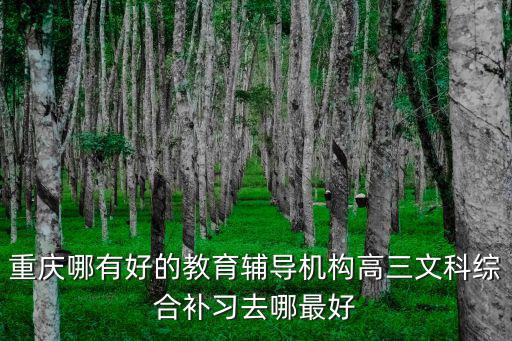 重慶哪有好的教育輔導(dǎo)機構(gòu)高三文科綜合補習(xí)去哪最好