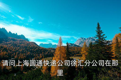 請問上海圓通快遞公司徐匯分公司在那里