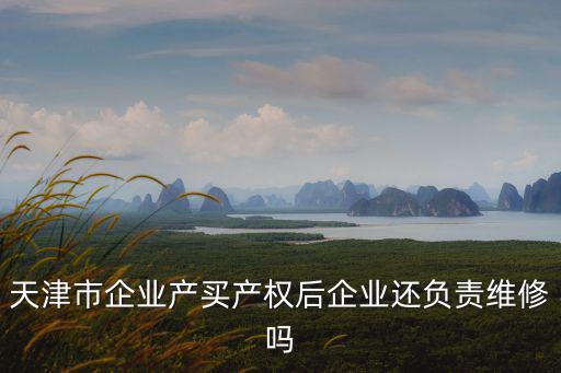 天津市企業(yè)產(chǎn)買產(chǎn)權(quán)后企業(yè)還負責維修嗎