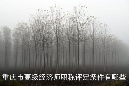重慶市高級經(jīng)濟(jì)師職稱評定條件有哪些