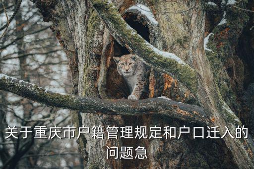 重慶市2005年戶籍制度，關于重慶市戶籍管理規定和戶口遷入的問題急