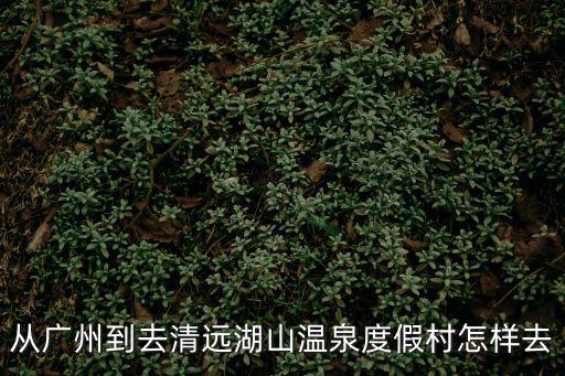 從廣州到去清遠湖山溫泉度假村怎樣去
