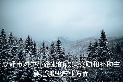 成都市對中小企業(yè)的政策獎勵和補助主要是哪些產(chǎn)業(yè)方面