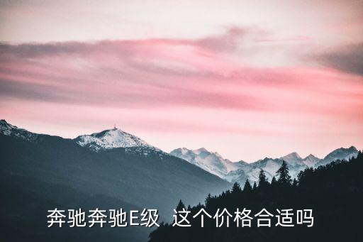 奔馳奔馳E級  這個價格合適嗎