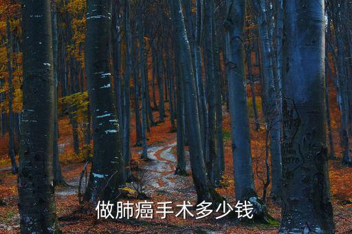 做肺癌手術多少錢