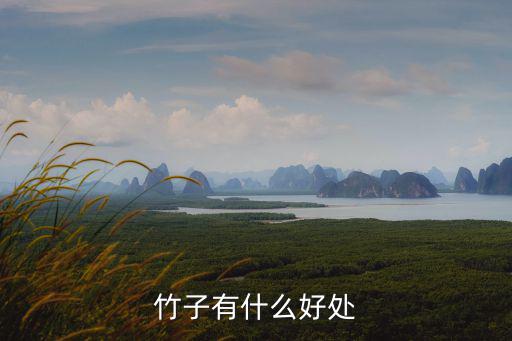 竹子有什么好處