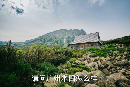 請(qǐng)問(wèn)廣州本田怎么樣