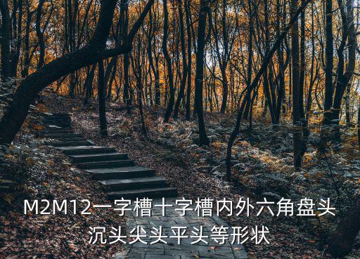 M2M12一字槽十字槽內外六角盤頭沉頭尖頭平頭等形狀