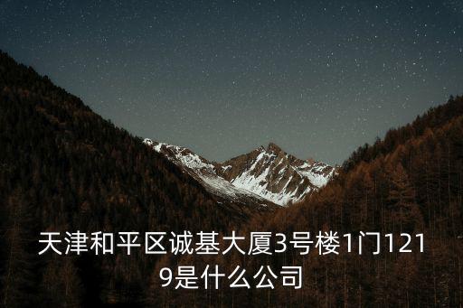 天津和平區(qū)誠基大廈3號樓1門1219是什么公司