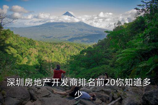 深圳房地產開發商排名前20你知道多少