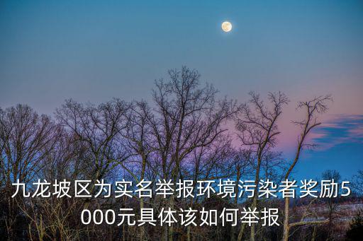 九龍坡區為實名舉報環境污染者獎勵5000元具體該如何舉報