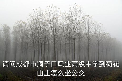 請問成都市洞子口職業高級中學到荷花山莊怎么坐公交