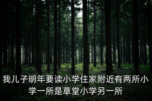 我兒子明年要讀小學住家附近有兩所小學一所是草堂小學另一所