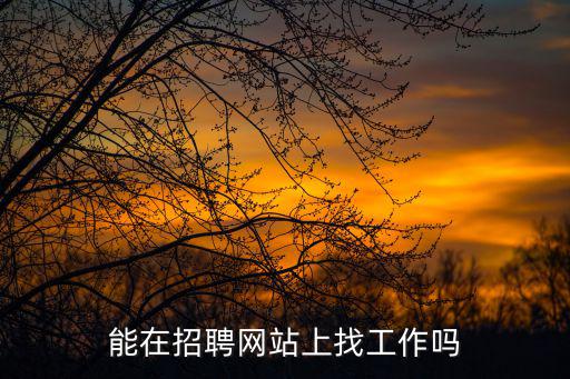 能在招聘網(wǎng)站上找工作嗎