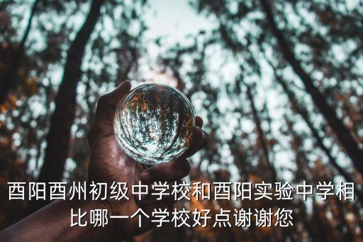 酉陽酉州初級中學校和酉陽實驗中學相比哪一個學校好點謝謝您