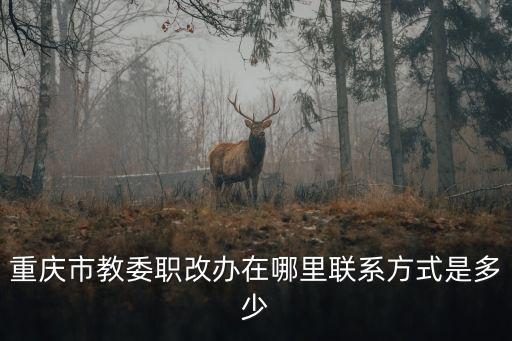 重慶市職改辦 百度百科，重慶市教委職改辦在哪里聯系方式是多少