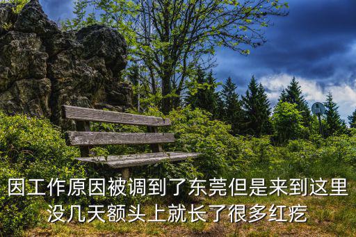 因工作原因被調到了東莞但是來到這里沒幾天額頭上就長了很多紅疙