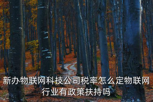 新辦物聯(lián)網(wǎng)科技公司稅率怎么定物聯(lián)網(wǎng)行業(yè)有政策扶持嗎