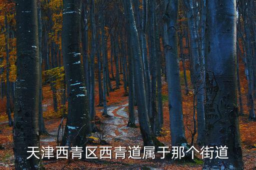 天津西青區(qū)西青道屬于那個街道
