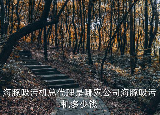 海豚吸污機總代理是哪家公司海豚吸污機多少錢