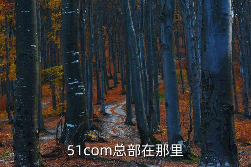 51com總部在那里